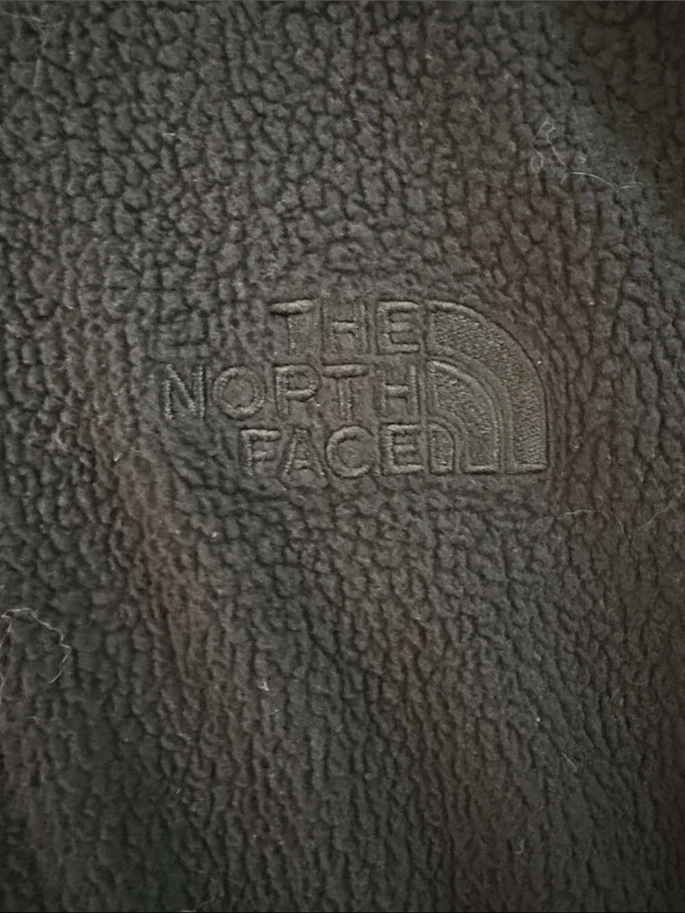The North Face Black Fleece Hoodie